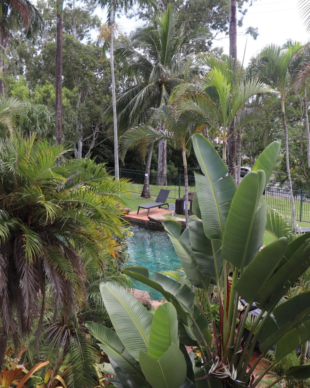 Colonial Palms Motor Inn Airlie Beach Eksteriør billede
